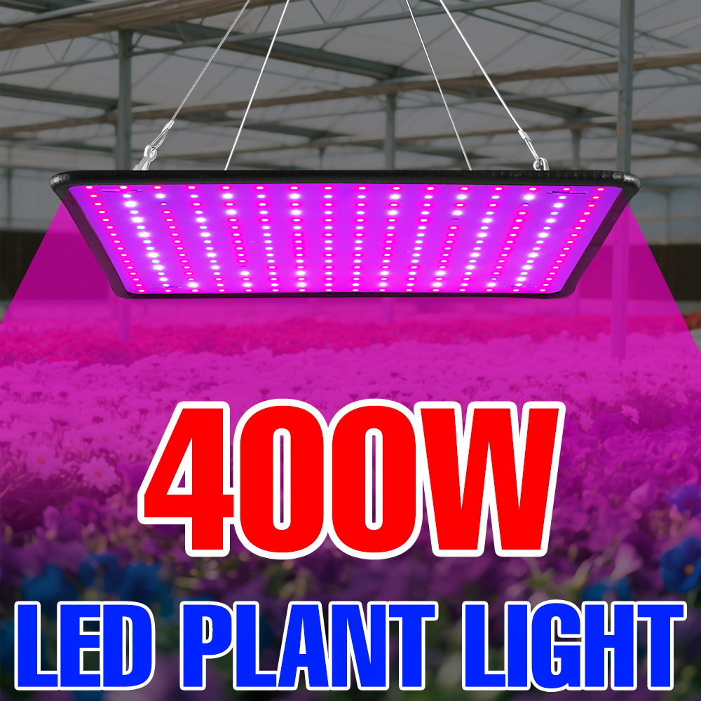 Echeveria Succulent - 400 ワット LED 成長ライトフルスペクトル量子ボード植物栽培ランプ屋内鉢植え果物温室テント苔多肉植物用