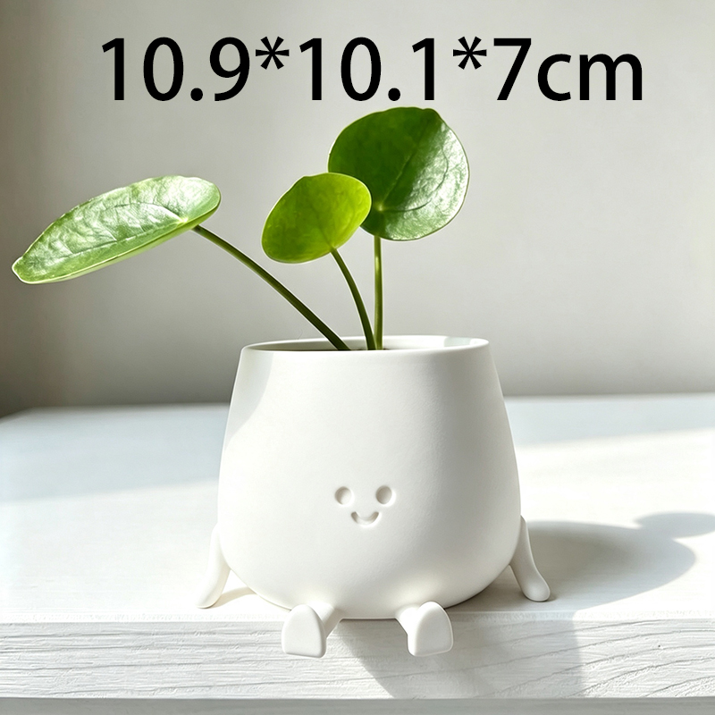 3Dプリントのかわいいスマイリーフェイス植木鉢、クリエイティ - Echeveria Succulent のレビューと価格