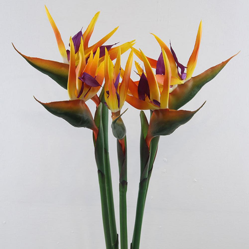 人工ツゲの木の花,80cm,1ピース,偽の植物,結婚式,家, - Bird Paradise Strelitzia のレビューと価格