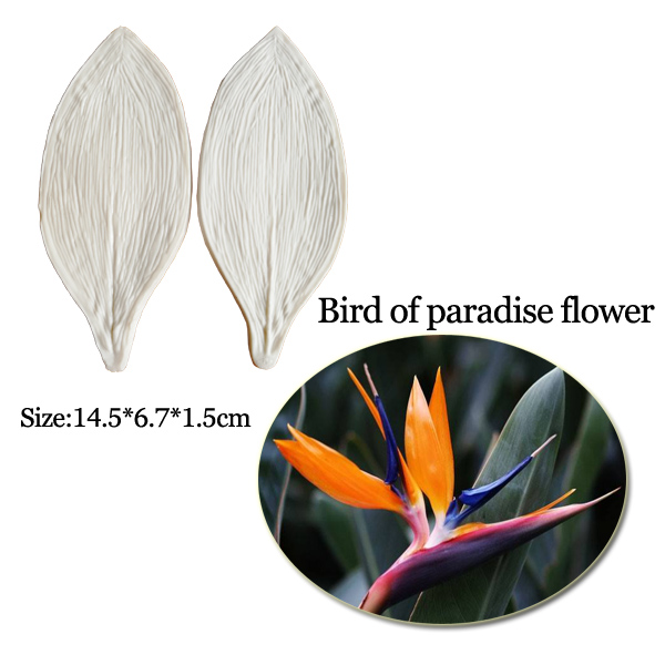 芸術的な植物の葉の大きなベース,シリコンモールド,フラワーケ - Bird Paradise Strelitzia のレビューと価格
