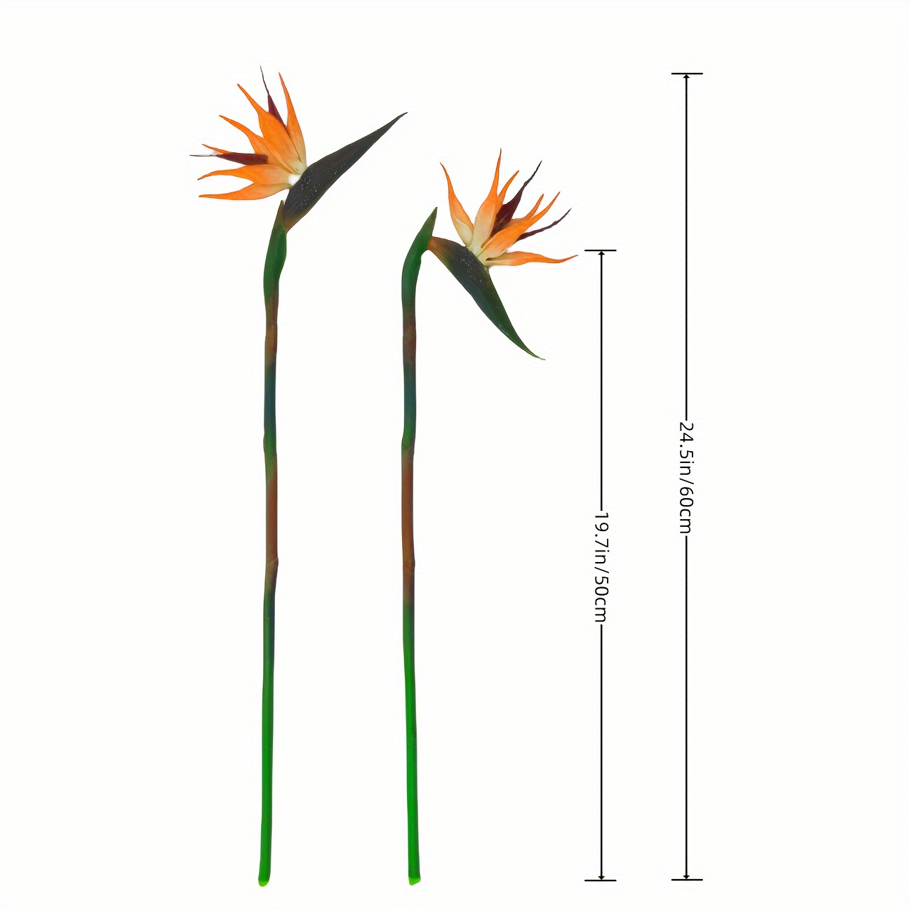 人工天国の鳥の花 3 個、偽の極楽鳥ストレリチア、ホームオフ - Bird Paradise Strelitzia のレビューと価格