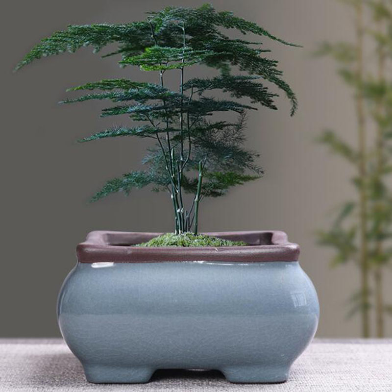 家と庭のためのレトロなセラミック植木鉢,通気性のある花瓶,盆 - Echeveria Succulent のレビューと価格