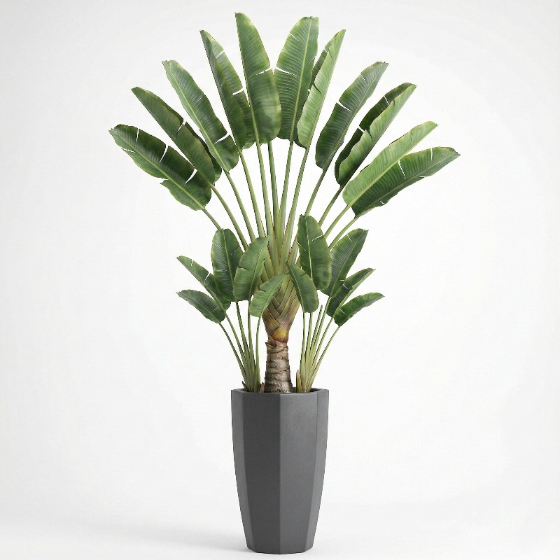 高シミュレーションプラスチック製フィドルリーフフィグツリー人 - Ficus Lyrata Tree のレビューと価格