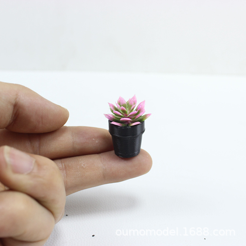 ミニ模擬植物サボテン多肉植物モデル小型鉢植え装飾デスクトップ - Echeveria Succulent のレビューと価格
