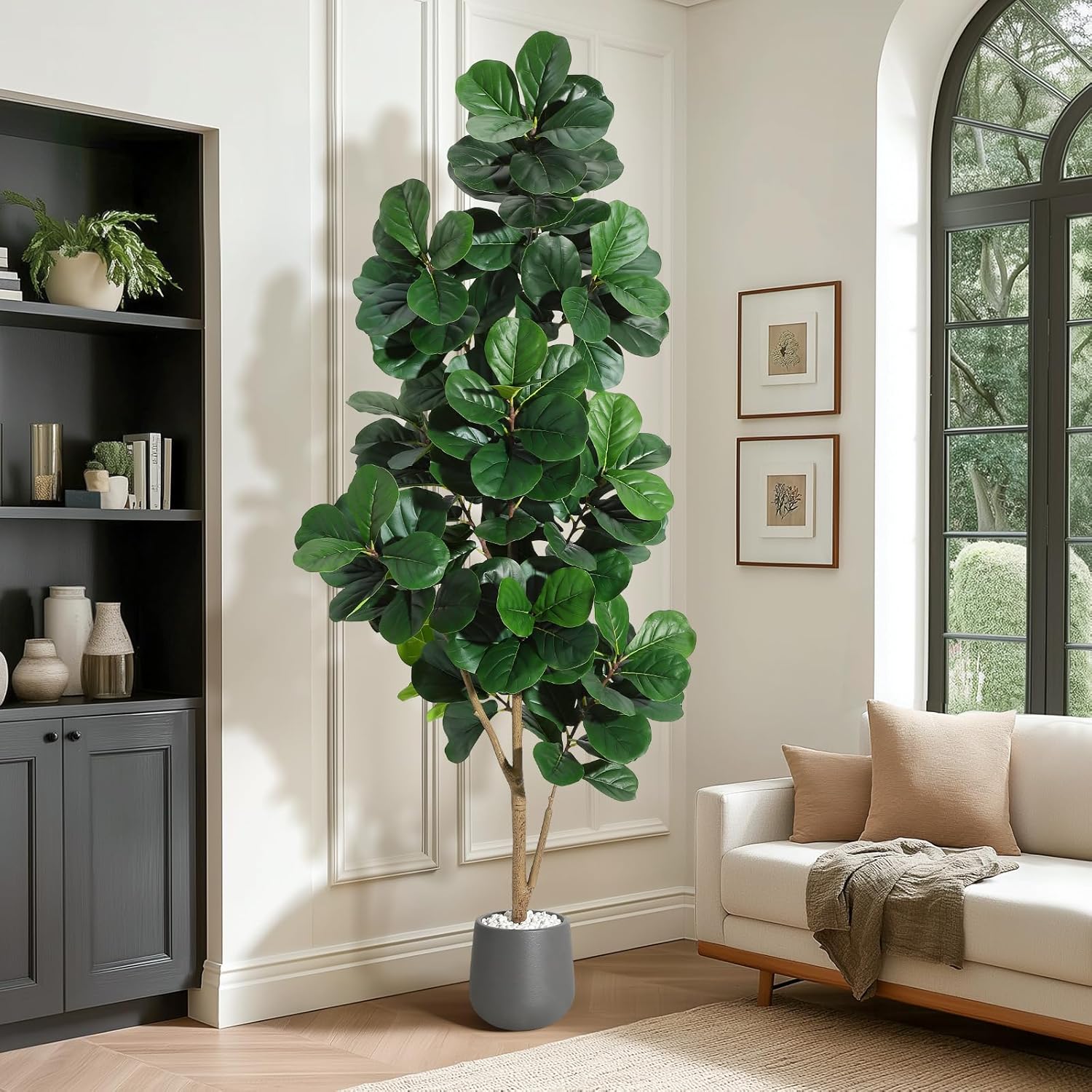 4FT/5FT/6FT/7FT フィドルリーフイチジクの木  - Ficus Lyrata Tree のレビューと価格