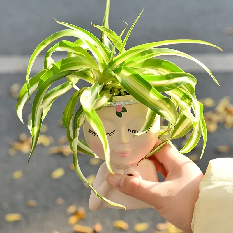 ハートハンドガール樹脂製多肉植物プランター レディーヘッド植 - Echeveria Succulent のレビューと価格
