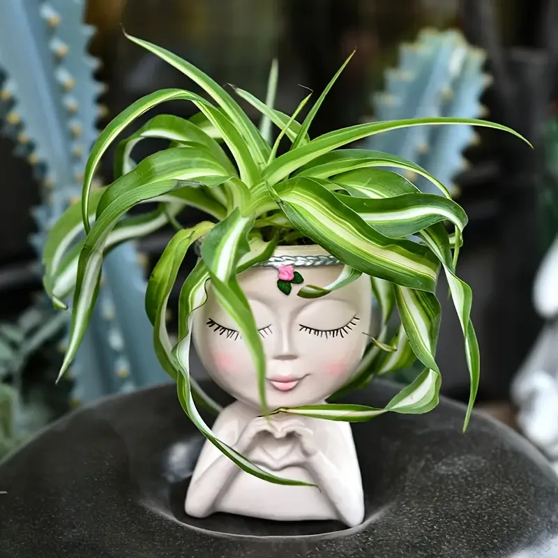 ハートハンドガール樹脂製多肉植物プランター レディーヘッド植 - Echeveria Succulent のレビューと価格