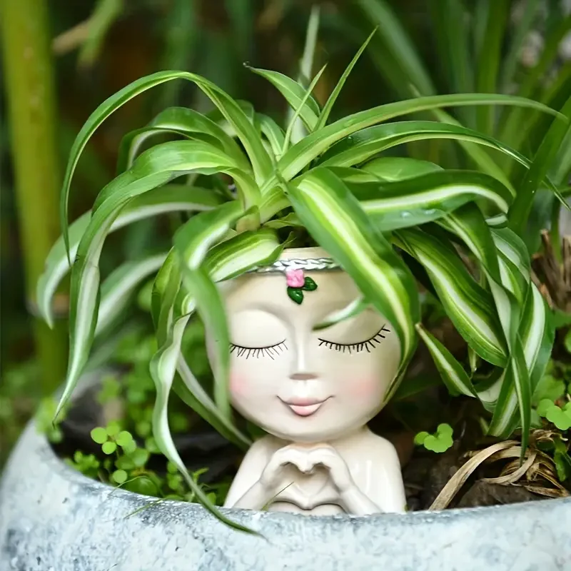 ハートハンドガール樹脂製多肉植物プランター レディーヘッド植 - Echeveria Succulent のレビューと価格